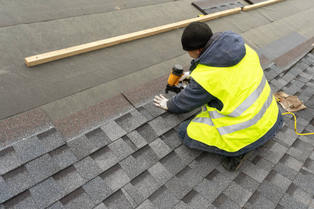 Best Solar Panel Roofing Installation  in Flat Rock, MI