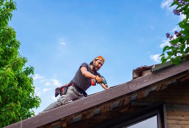 Best Roofing for New Construction  in Flat Rock, MI