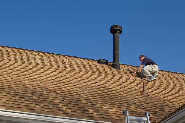 Best Storm Damage Roof Repair  in Flat Rock, MI